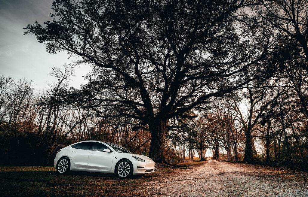 Tesla Model 3 Refresh for 2021